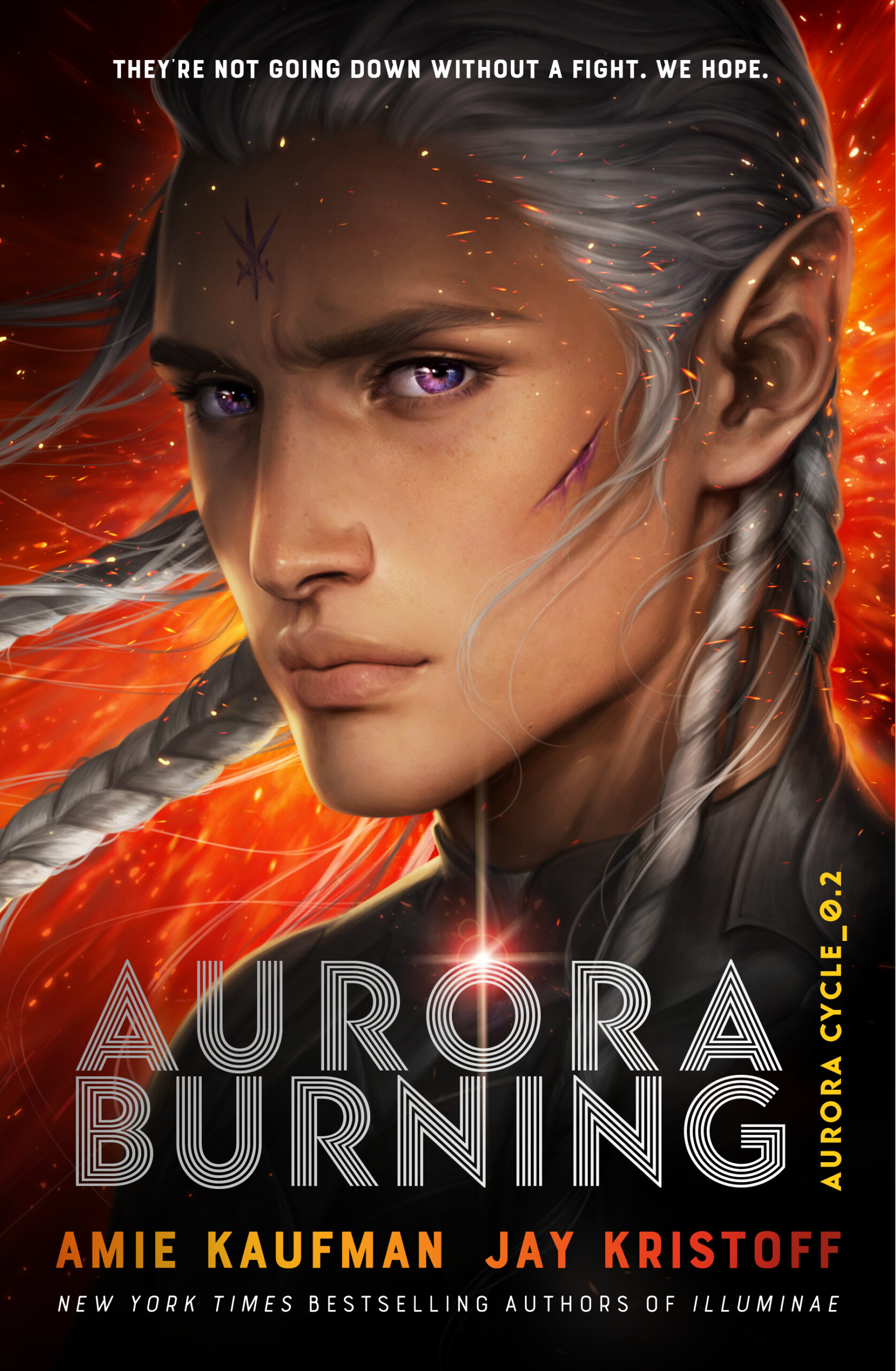 Aurora Burning By Amie Kaufman