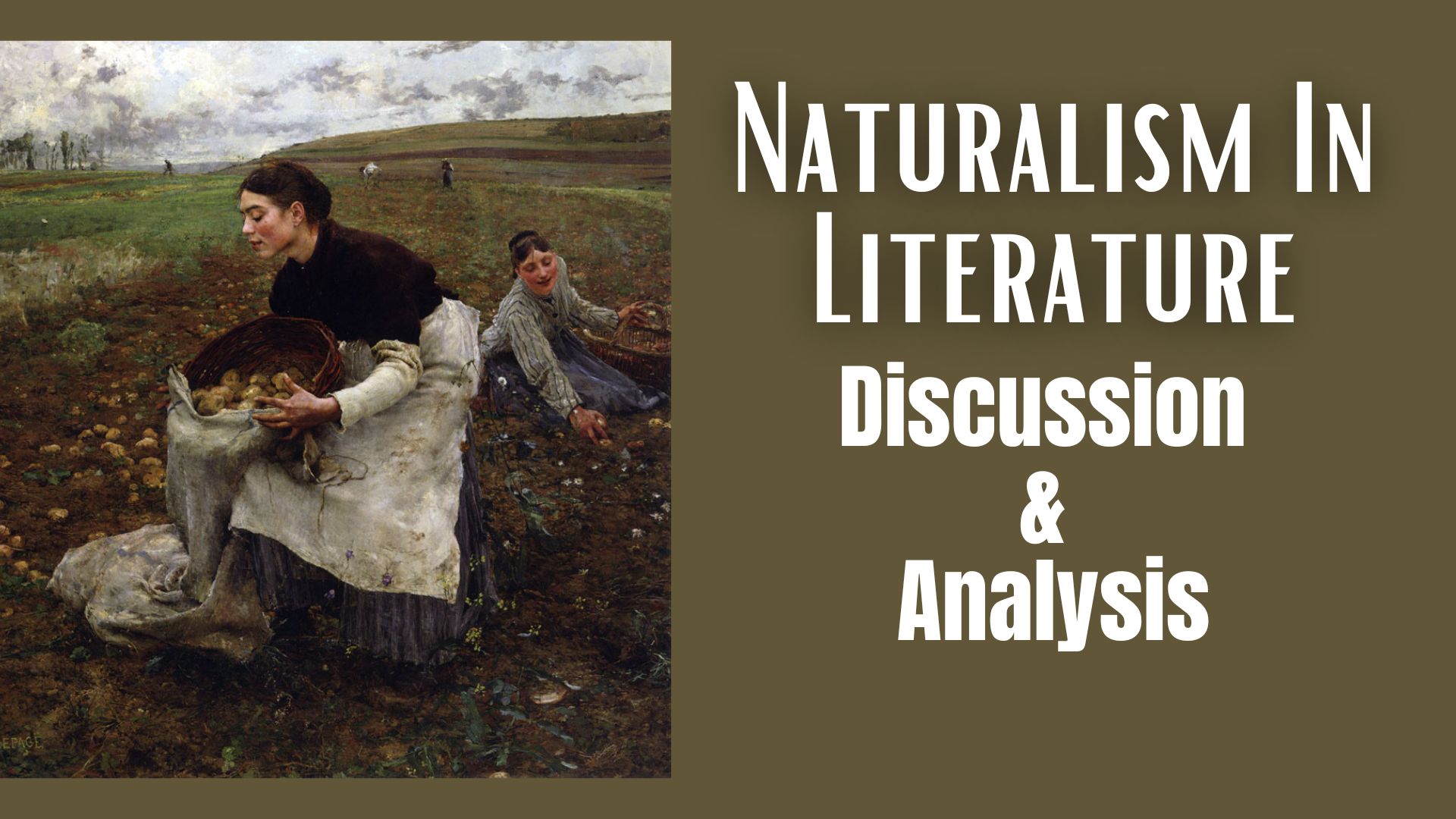 Naturalism In Literature