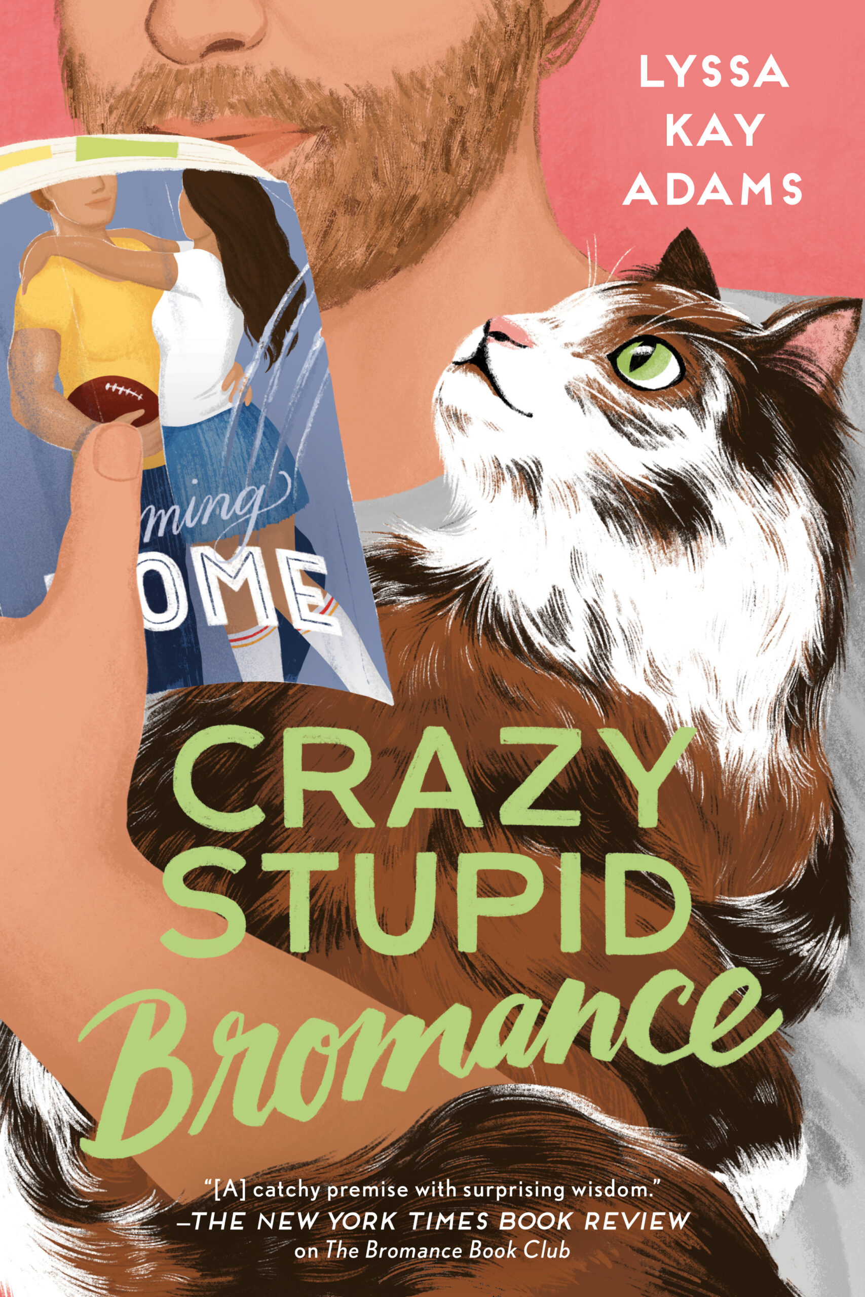 Crazy Stupid Bromance By Lyssa Kay Adams