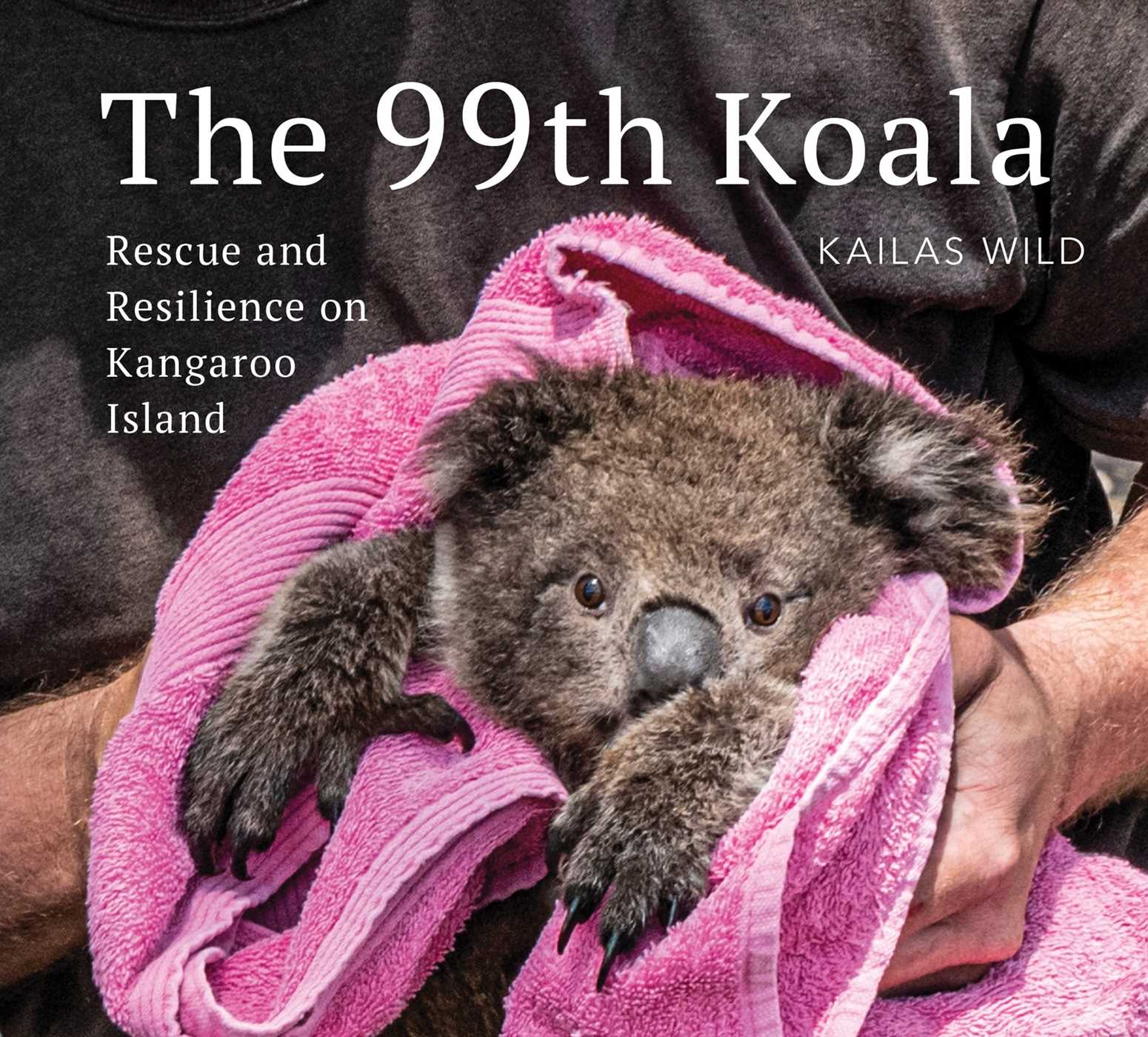 The 99th Koala By Kailas Wild