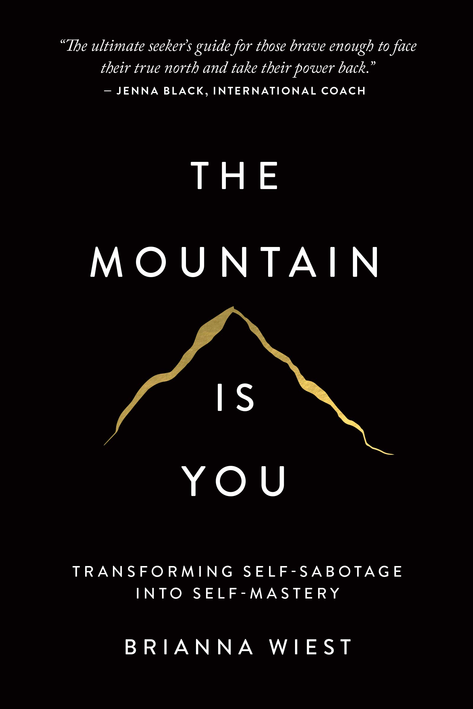 The Mountain Is You By Brianna Wiest