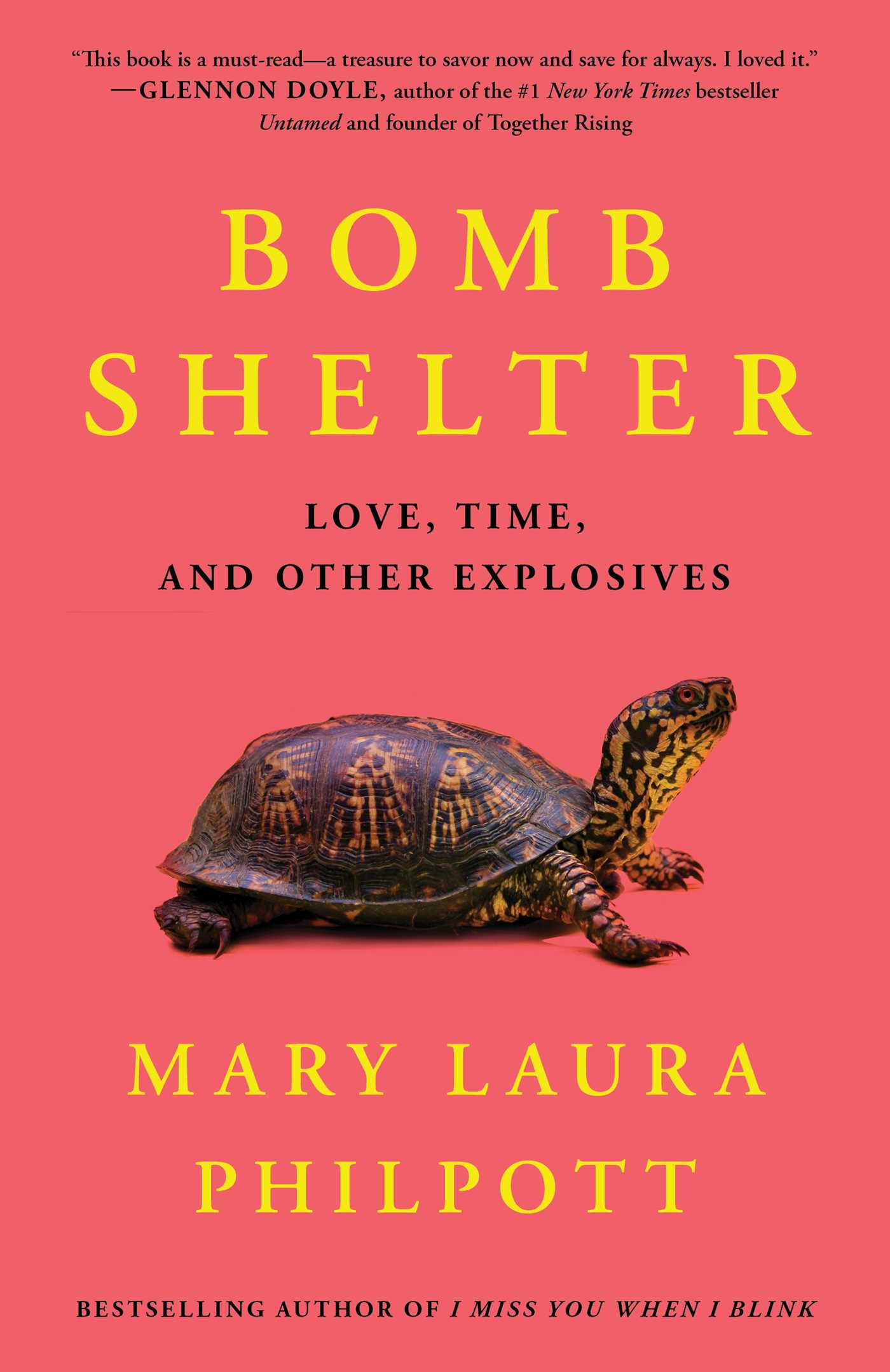 Bomb Shelter By Mary Laura Philpott