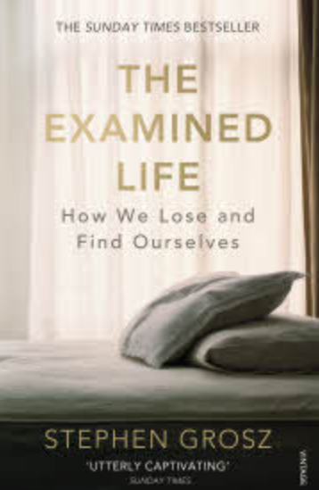 The Examined Life By Stephen Grosz