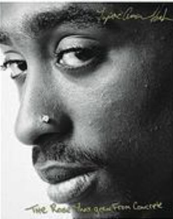 The Rose That Grew from Concrete By Tupac Shakur